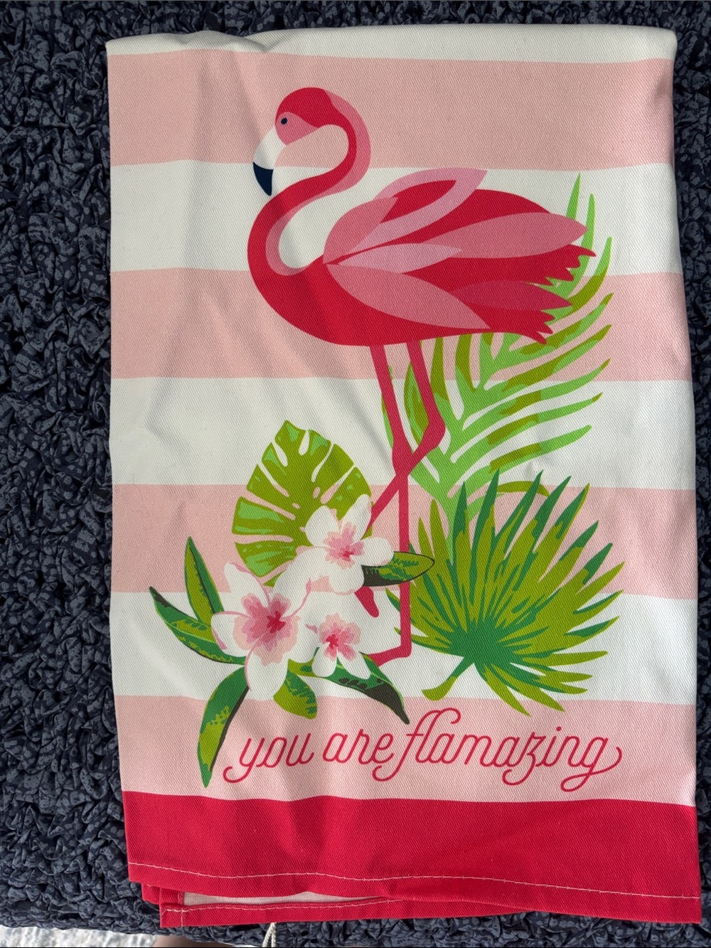 NWT Spartina 449 Dish Towel